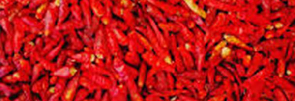 ABE-Type Chillies: Bold Flavor, Endless Possibilities