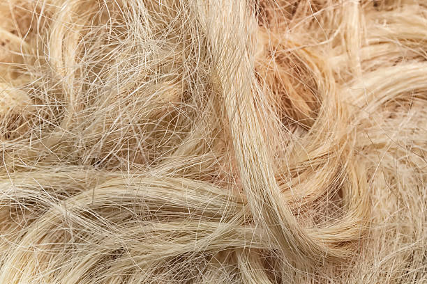 Discover the Various Grades of Sisal Fibre: A Guide to Quality and Use